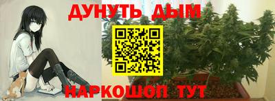 ешки Можга