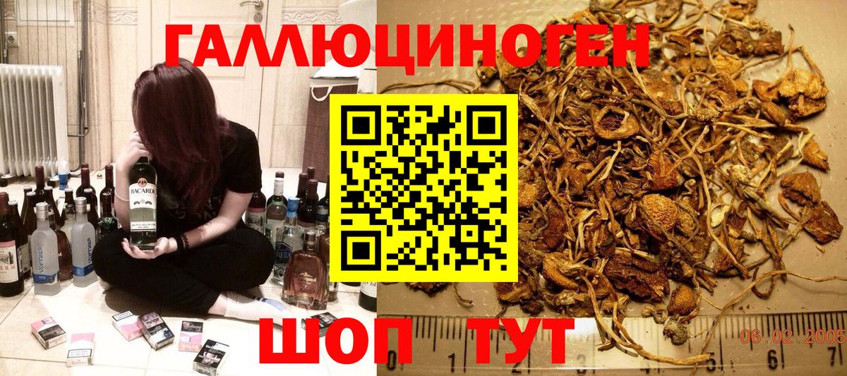 Унеча  Галлюциногенные грибы мухоморы  Вход с VPN  Галлюциногенные грибы Psilocybine cubensis 